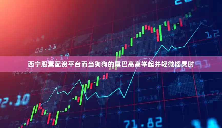 西宁股票配资平台而当狗狗的尾巴高高举起并轻微摇晃时