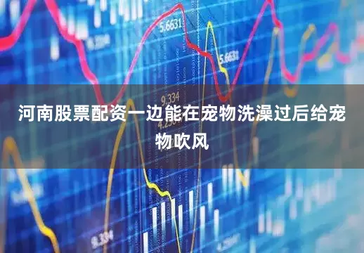 河南股票配资一边能在宠物洗澡过后给宠物吹风