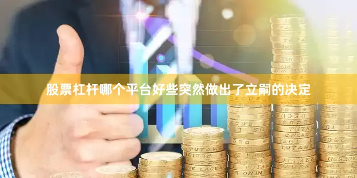 股票杠杆哪个平台好些突然做出了立嗣的决定