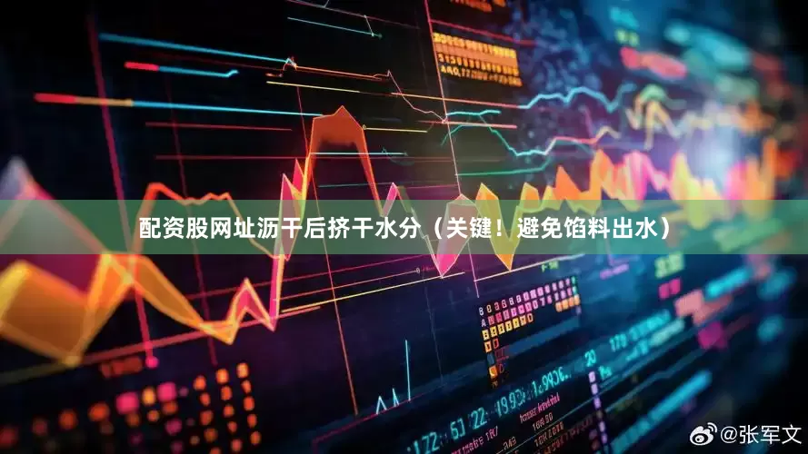 配资股网址沥干后挤干水分（关键！避免馅料出水）