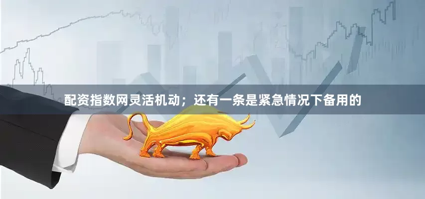 配资指数网灵活机动；还有一条是紧急情况下备用的