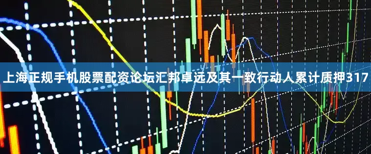 上海正规手机股票配资论坛汇邦卓远及其一致行动人累计质押317